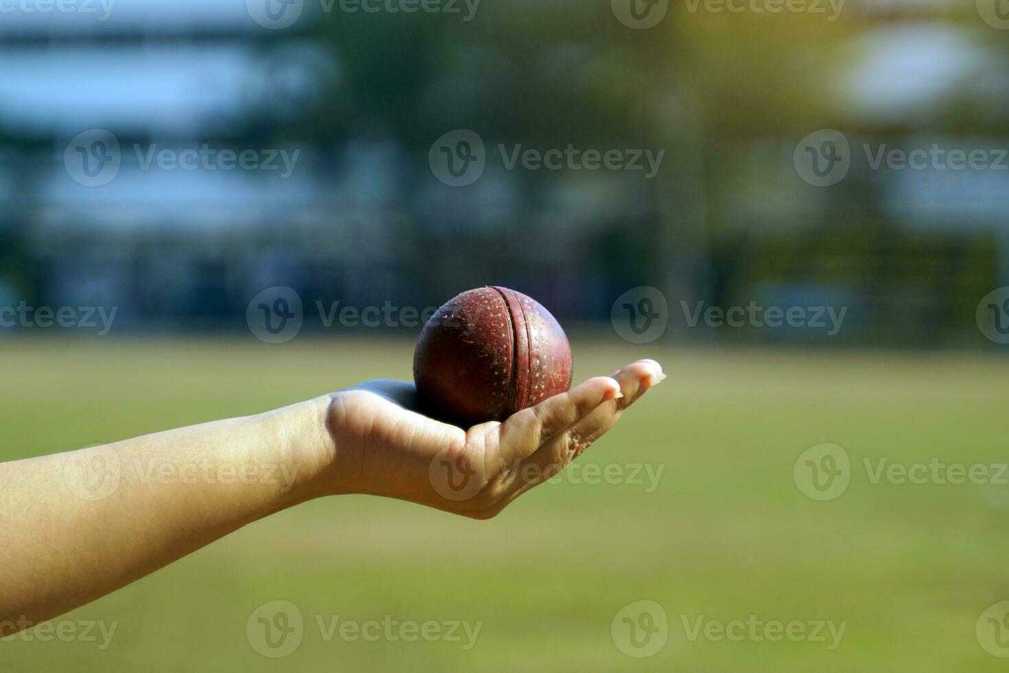 Cricket ball in Asian woman hand on green background of lawn and trees. Soft and selective focus photo