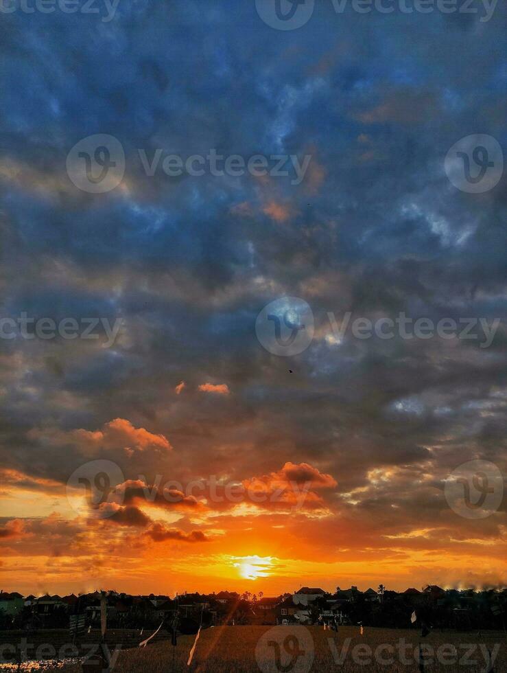 Sunset view in a rice field at evening photo