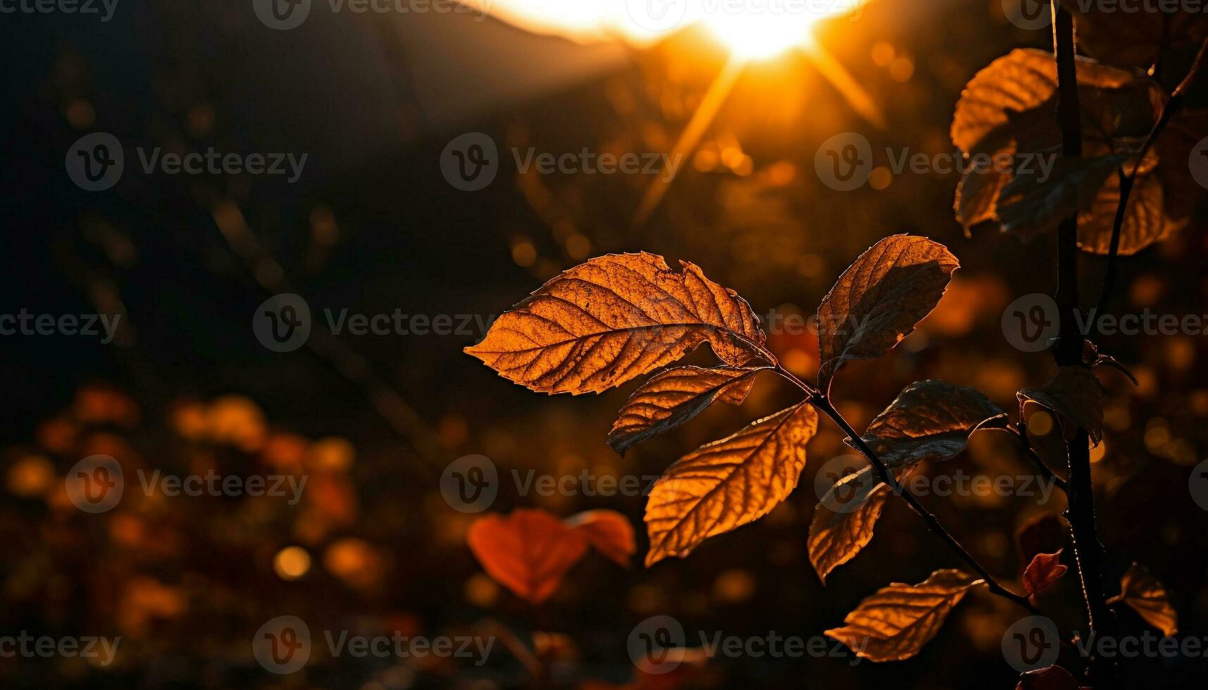 Vibrant autumn colors illuminate forest in sunlight generated by AI photo