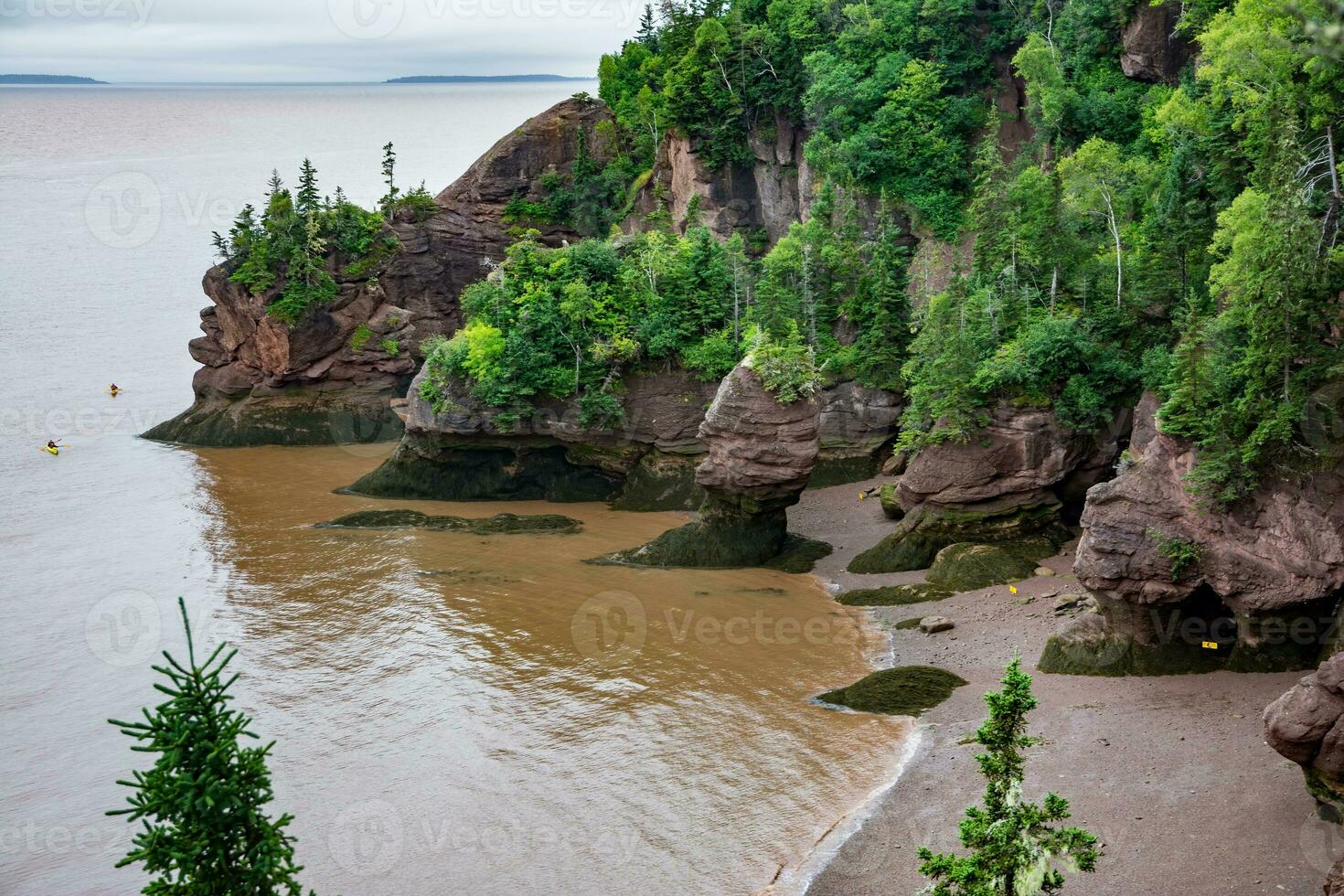 Bay of Fundy photo