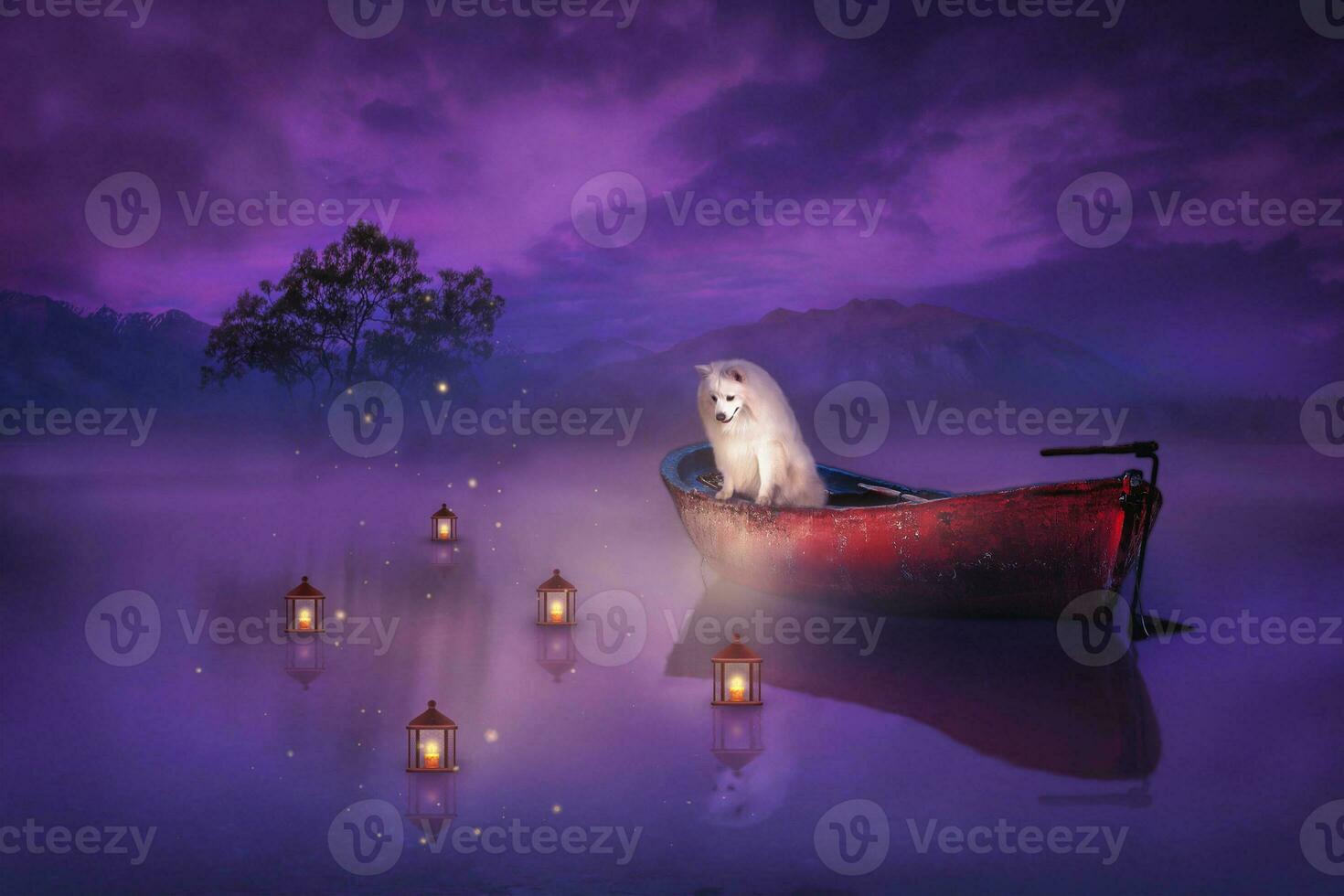 White fluffy dog Japanese Spitz Simba spends lilac evening with flashlights somewhere in China on the lake photo