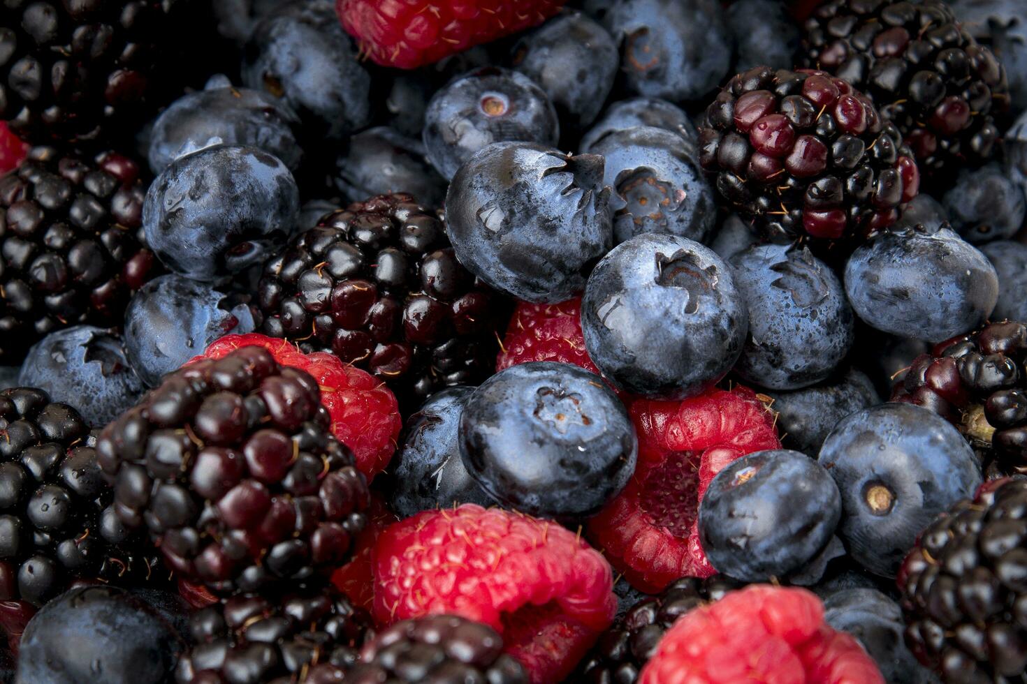 Mixed berries background - macro photo blueberries, blackberries and raspberries
