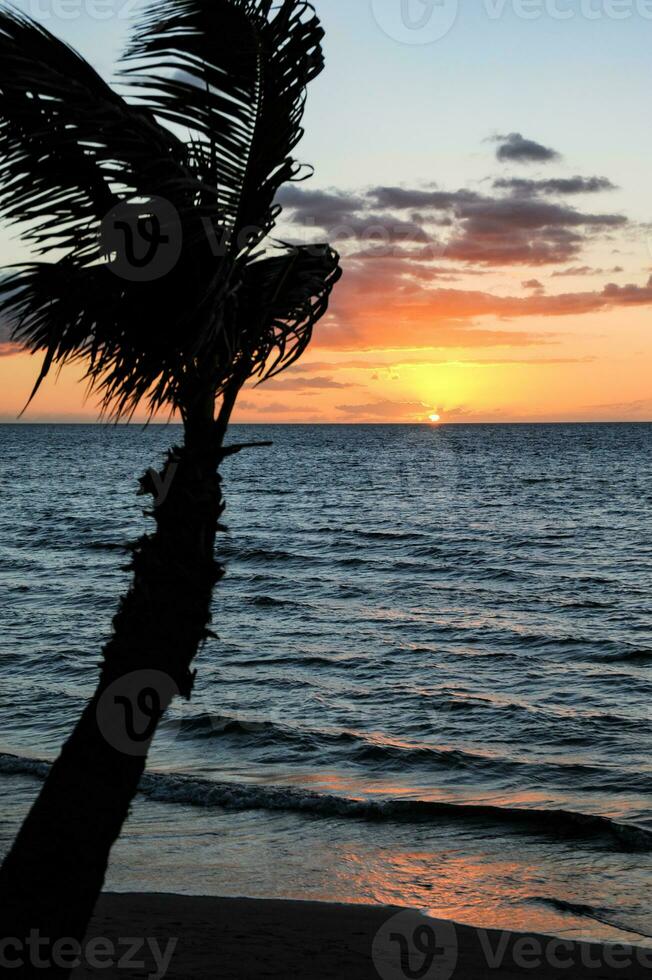 Incredible Hawaiian Sunset over Calm Waters photo