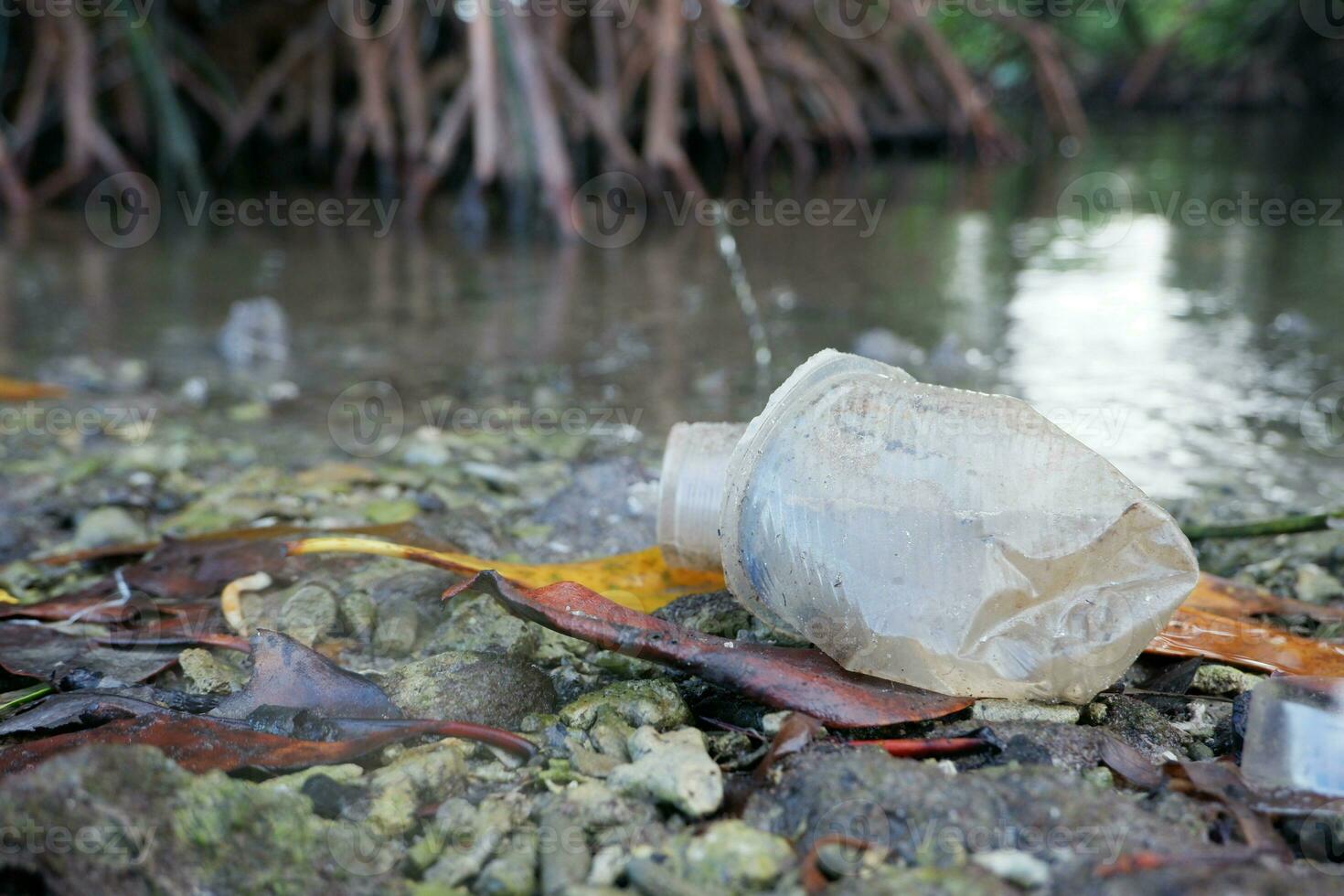 selective focus to plastic cup waste with defocused mangrove forest background. concept photo of environmental pollution around the sea and mangrove forests