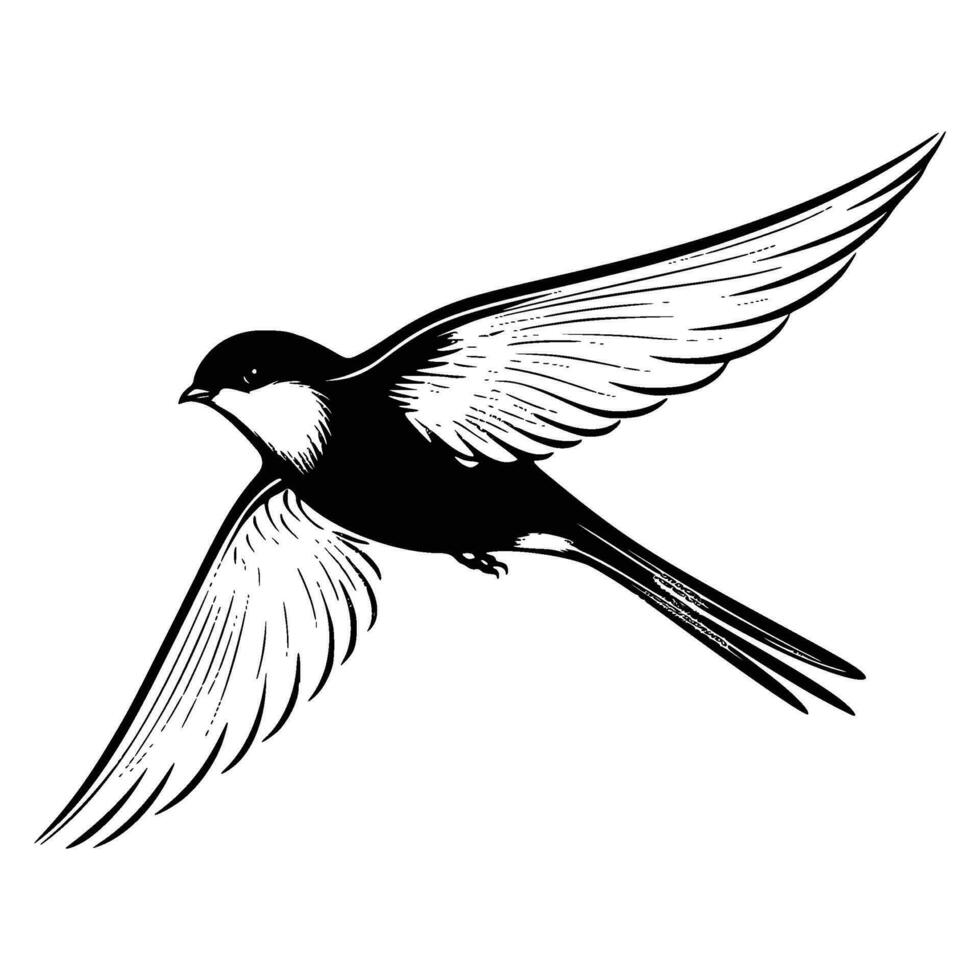 Barn swallow silhouette, Barn swallow mascot logo, Barn swallow Black and White Animal Symbol Design, Bird icon. vector