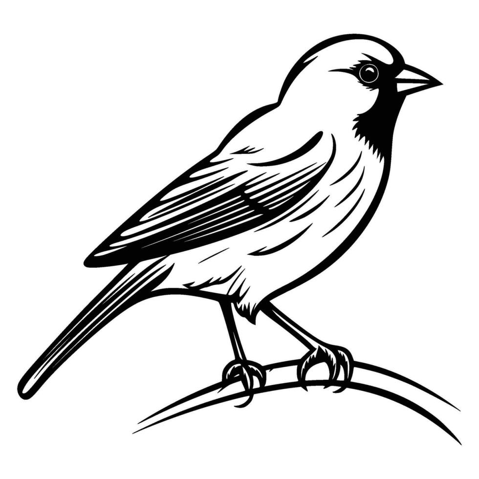 Finches silhouette, Finches mascot logo, Finches Black and White Animal Symbol Design, Bird icon. vector