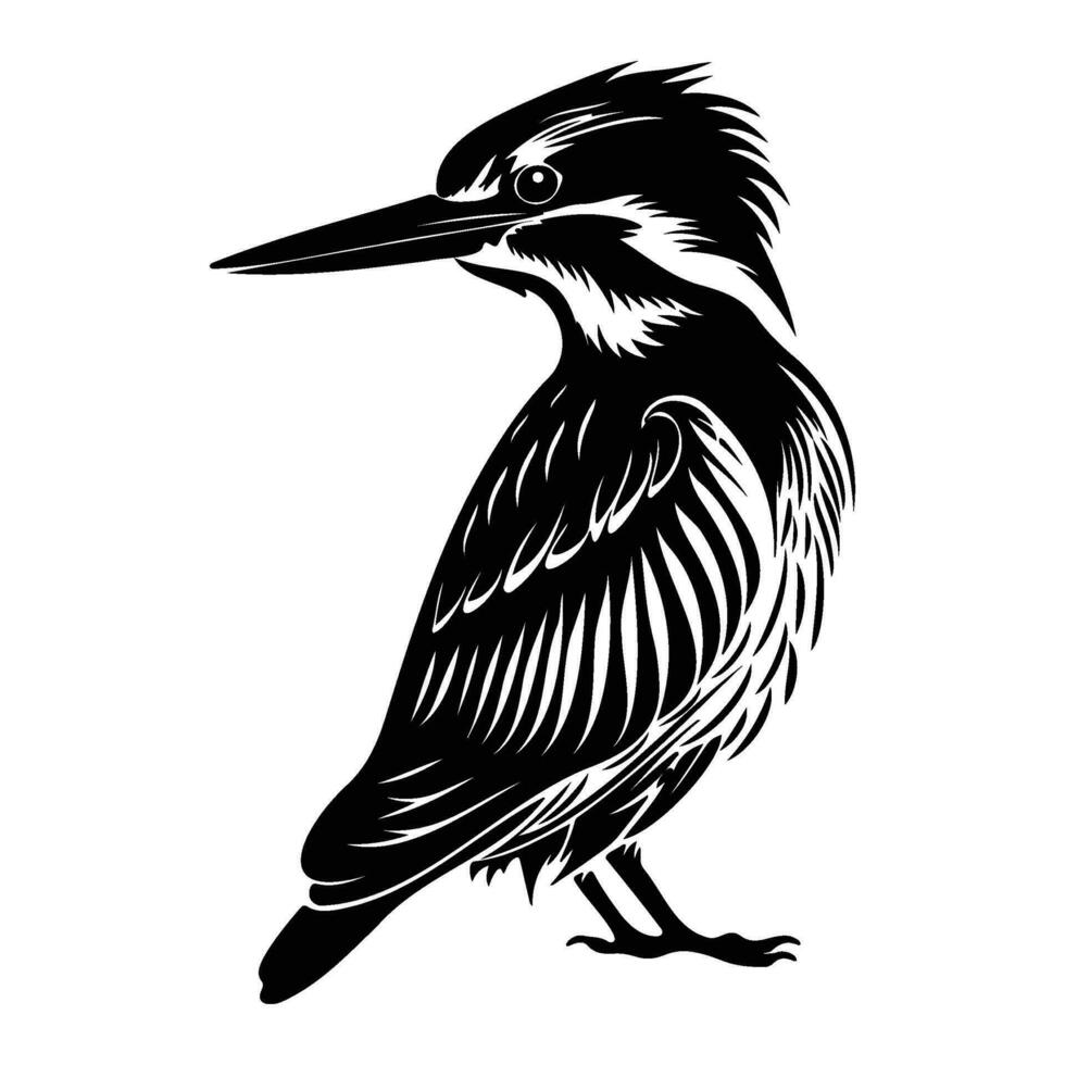 Kingfisher bird silhouette, Kingfisher bird mascot logo, Kingfisher bird Black and White Animal Symbol Design, Bird icon. vector