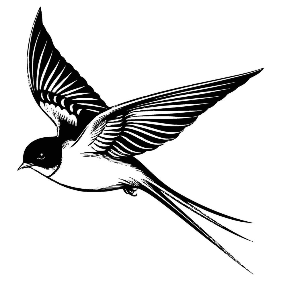 Barn swallow silhouette, Barn swallow mascot logo, Barn swallow Black and White Animal Symbol Design, Bird icon. vector
