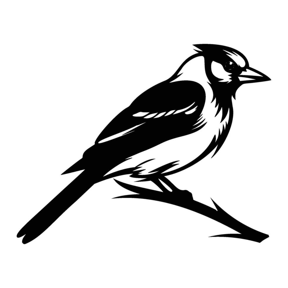 azul arrendajo silueta, azul arrendajo mascota logo, azul arrendajo negro y blanco animal símbolo diseño, pájaro icono. vector
