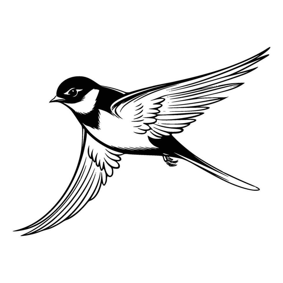 Barn swallow silhouette, Barn swallow mascot logo, Barn swallow Black and White Animal Symbol Design, Bird icon. vector