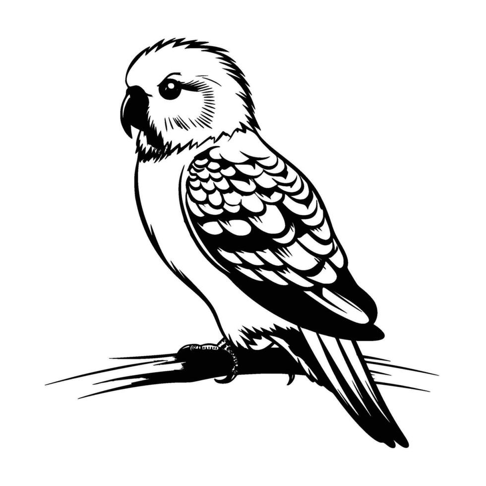 periquito silueta, periquito mascota logo, periquito negro y blanco animal símbolo diseño, pájaro icono. vector