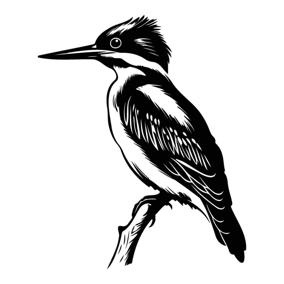 martín pescador pájaro silueta, martín pescador pájaro mascota logo, martín pescador pájaro negro y blanco animal símbolo diseño, pájaro icono. vector