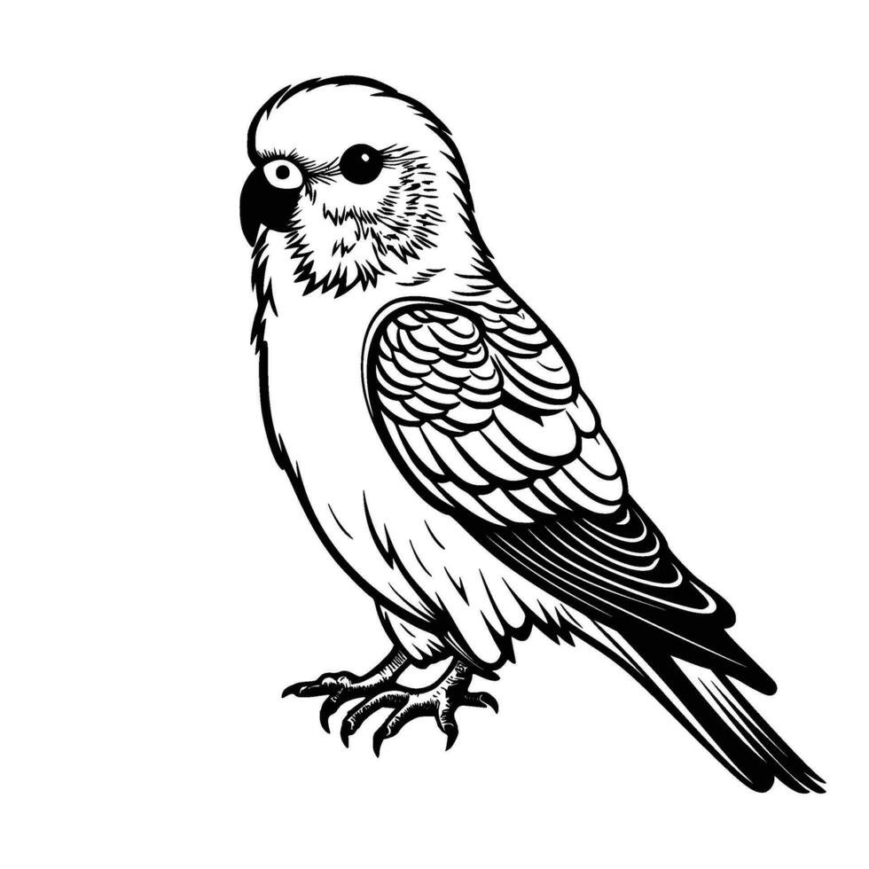 Budgerigar silhouette, Budgerigar mascot logo, Budgerigar Black and White Animal Symbol Design, Bird icon. vector