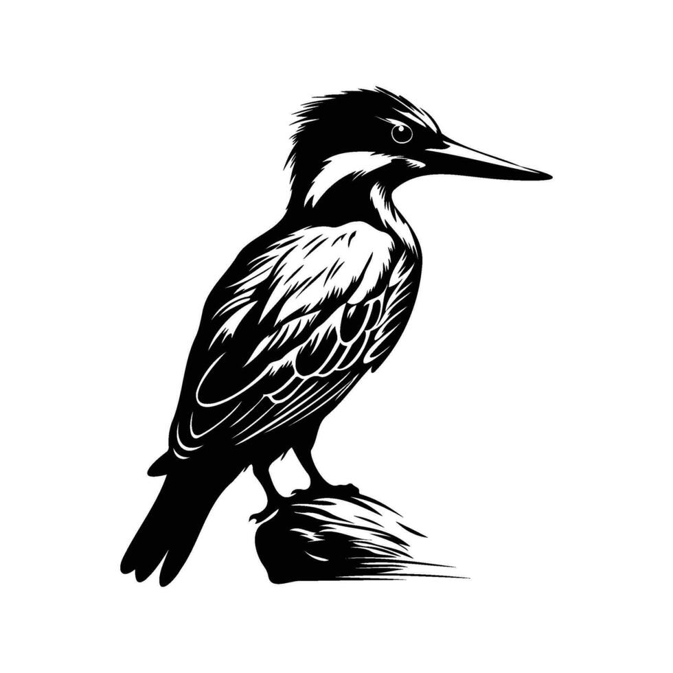 martín pescador pájaro silueta, martín pescador pájaro mascota logo, martín pescador pájaro negro y blanco animal símbolo diseño, pájaro icono. vector