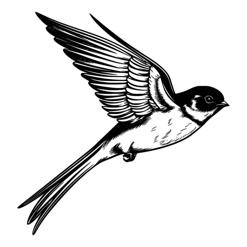 Barn swallow silhouette, Barn swallow mascot logo, Barn swallow Black and White Animal Symbol Design, Bird icon. vector