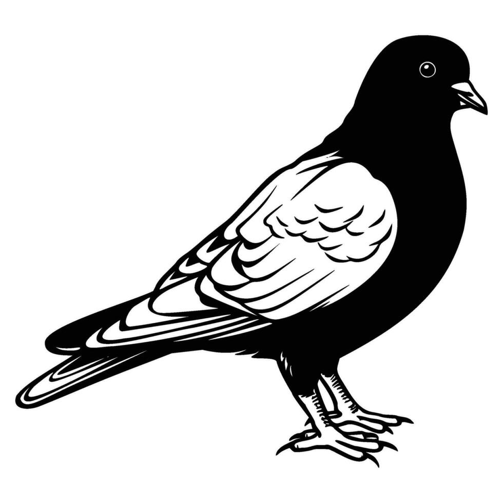 Pigeons silhouette, Pigeons mascot logo, Pigeons Black and White Animal Symbol Design, Bird icon. vector