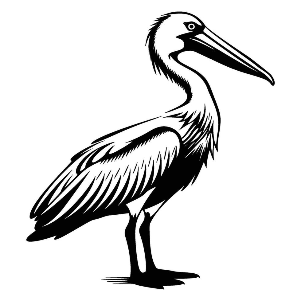 Pelican silhouette, Pelican mascot logo, Pelican Black and White Animal Symbol Design, Bird icon. vector