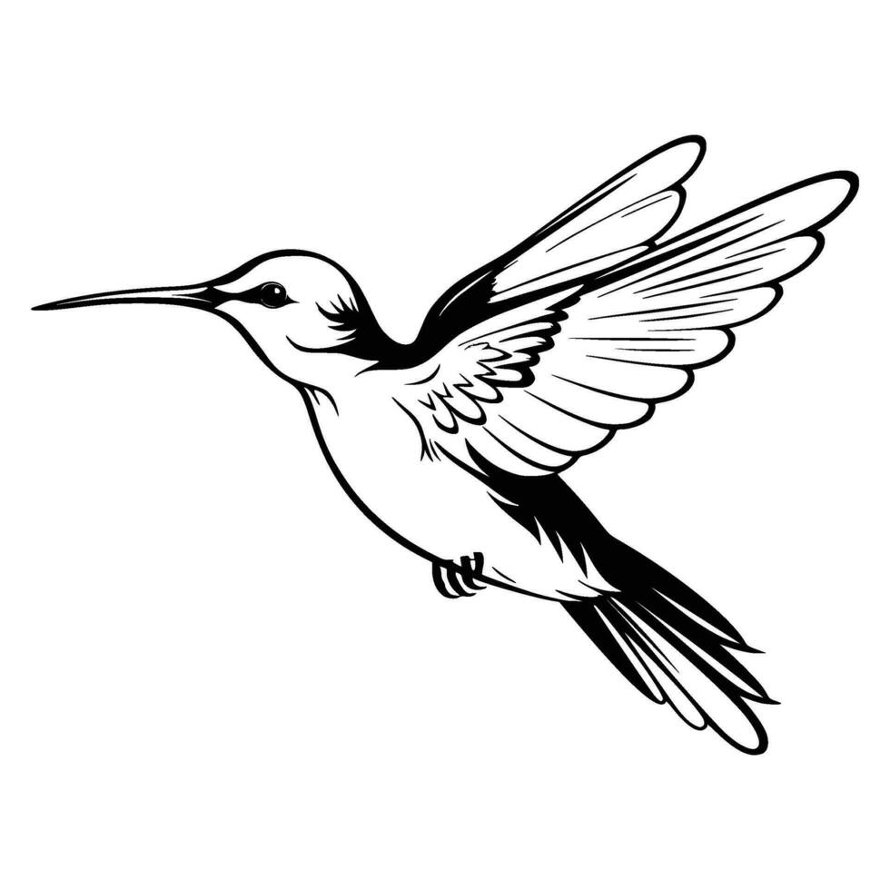 colibrí silueta, colibríes mascota logo, colibríes negro y blanco animal símbolo diseño, pájaro icono. vector