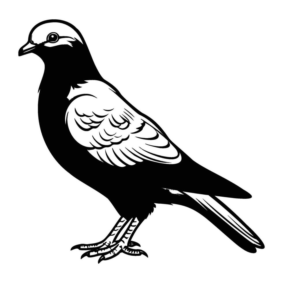 Pigeons silhouette, Pigeons mascot logo, Pigeons Black and White Animal Symbol Design, Bird icon. vector