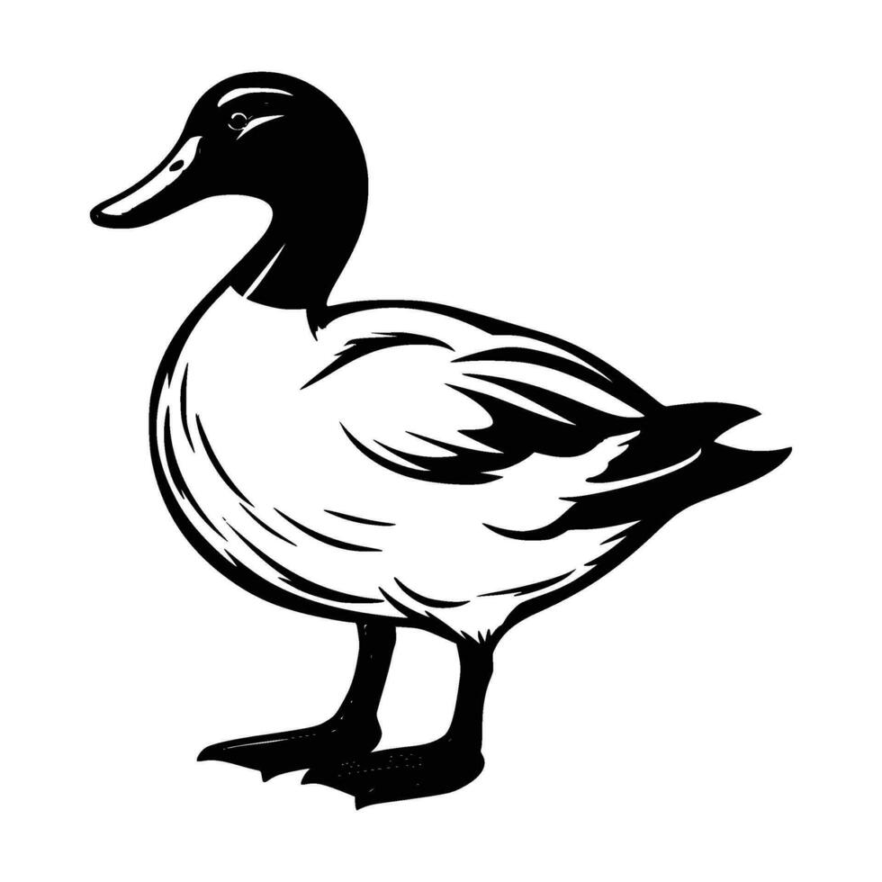 pato real silueta, pato real mascota logo, pato real negro y blanco animal símbolo diseño, pájaro icono. vector