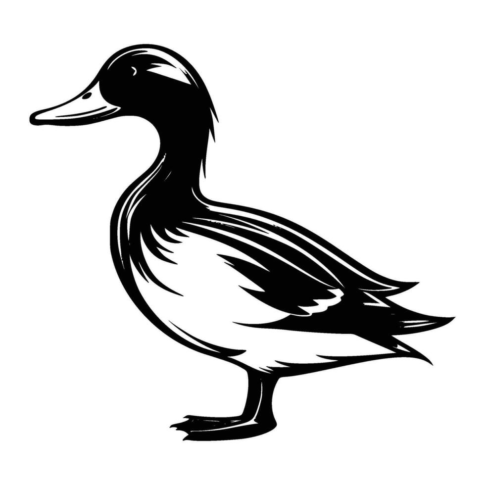Mallard silhouette, Mallard mascot logo, Mallard Black and White Animal Symbol Design, Bird icon. vector