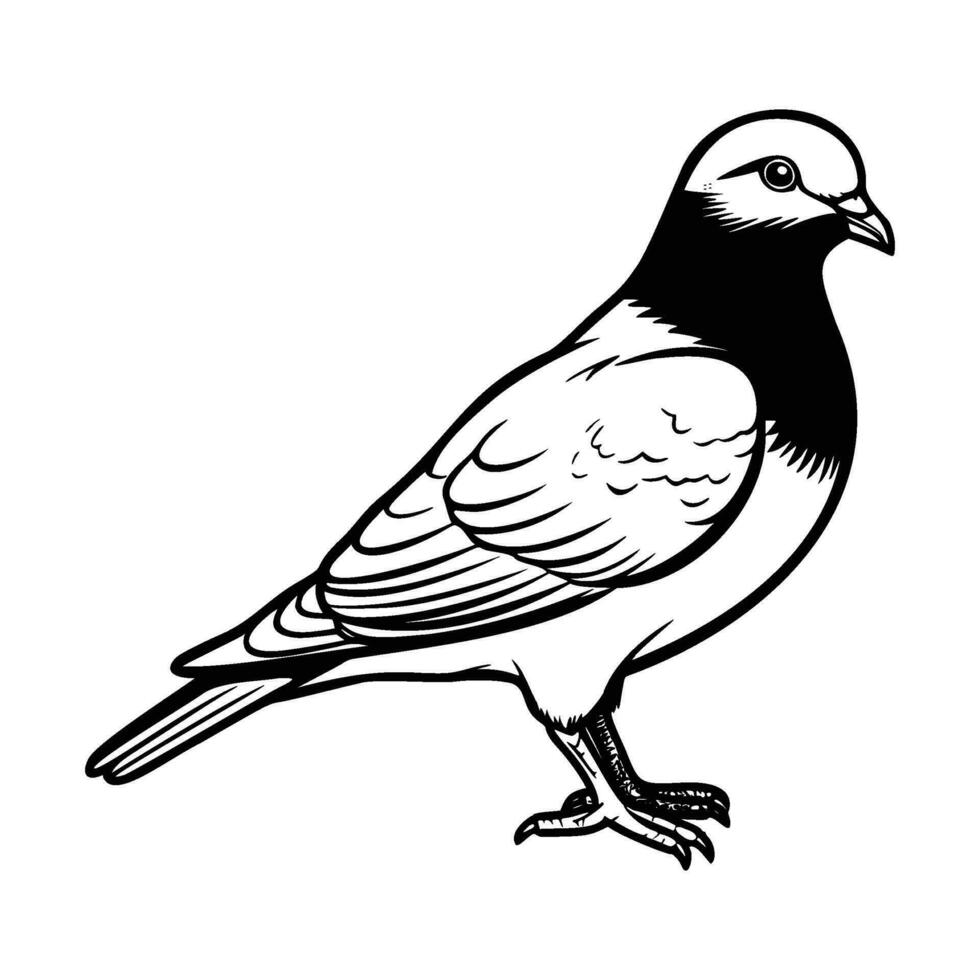 Pigeons silhouette, Pigeons mascot logo, Pigeons Black and White Animal Symbol Design, Bird icon. vector