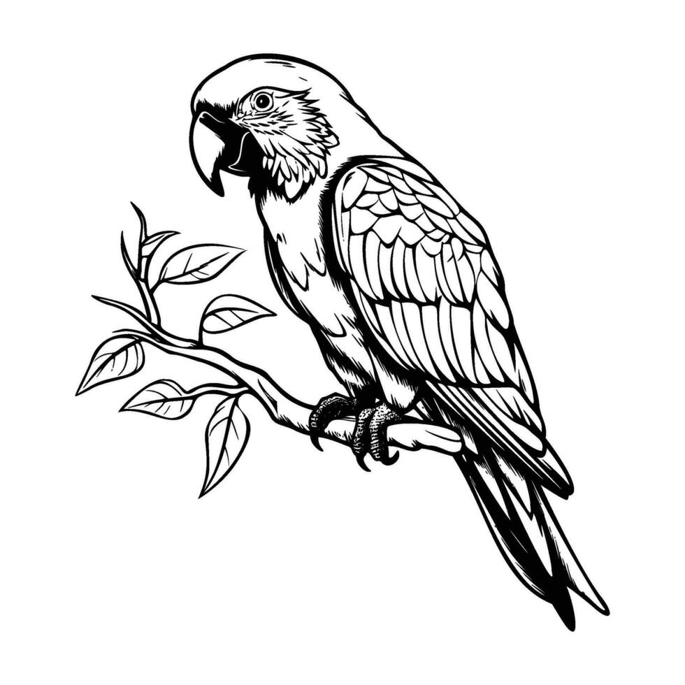 loros silueta, loros mascota logo, loros negro y blanco animal símbolo diseño, pájaro icono. vector