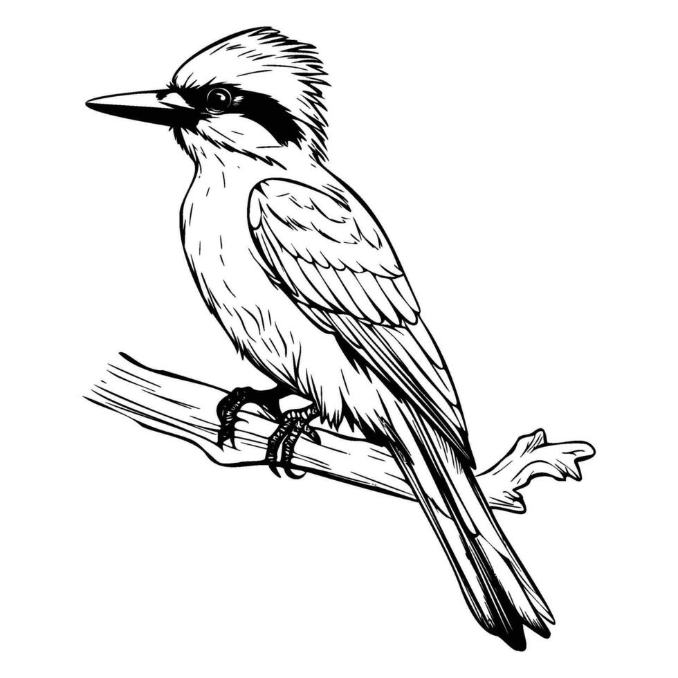 Woodpeckers silhouette, Woodpeckers mascot logo, Woodpeckers Black and White Animal Symbol Design, Bird icon. vector