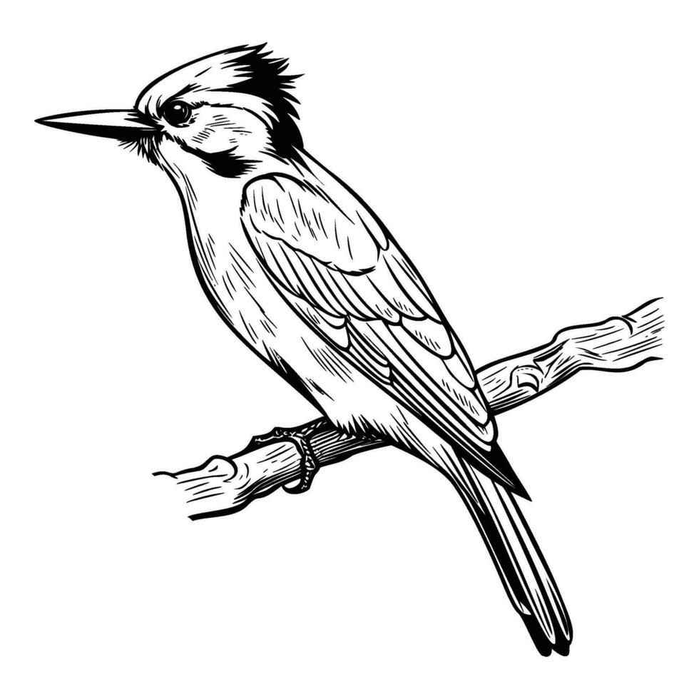 pájaros carpinteros silueta, pájaros carpinteros mascota logo, pájaros carpinteros negro y blanco animal símbolo diseño, pájaro icono. vector
