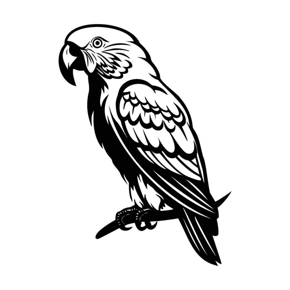 loros silueta, loros mascota logo, loros negro y blanco animal símbolo diseño, pájaro icono. vector