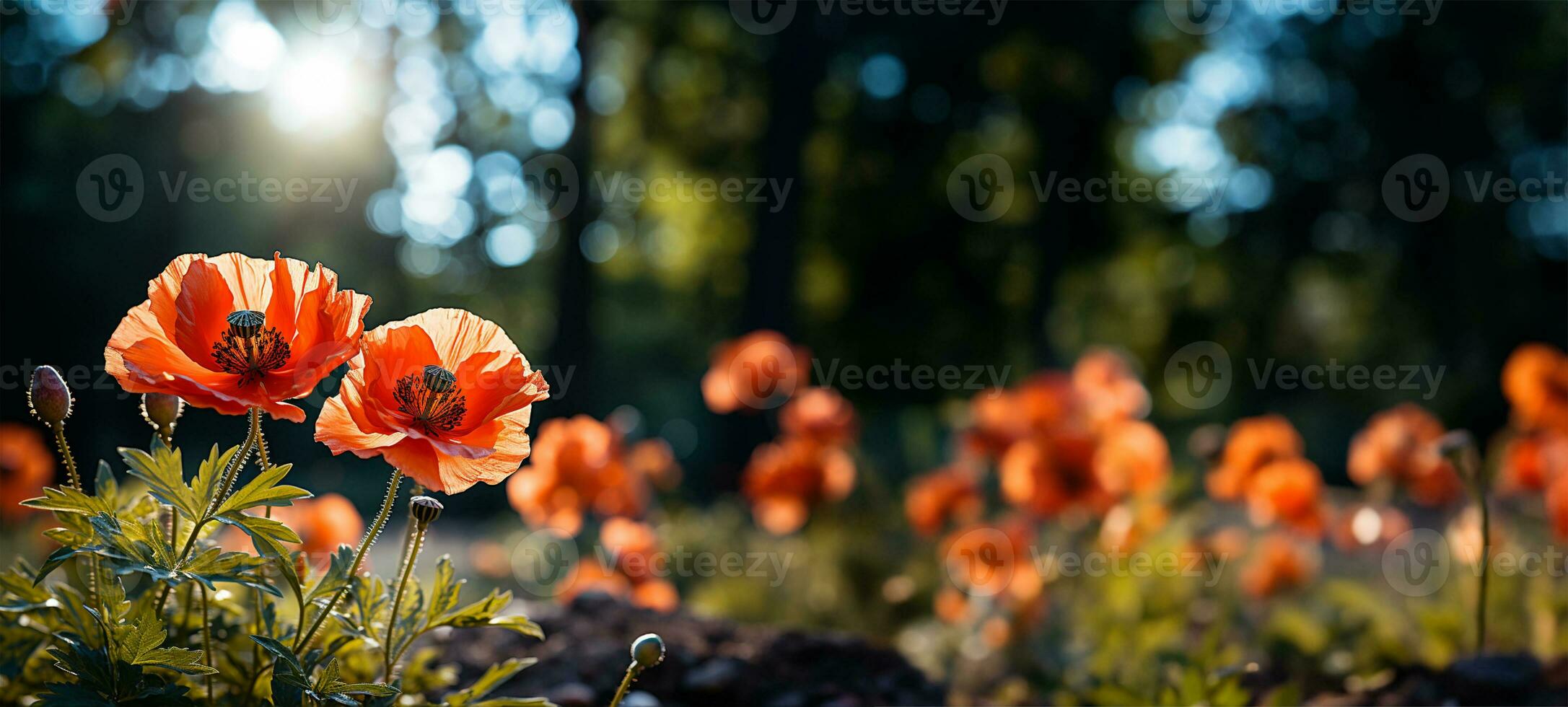 a blooming poppy in sharp focus. AI Generated photo