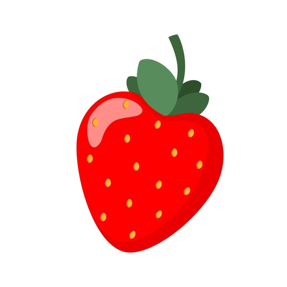 Natural strawberry. Fresh farm organic berry. Juicy sweet strawberries. Vector illustration.