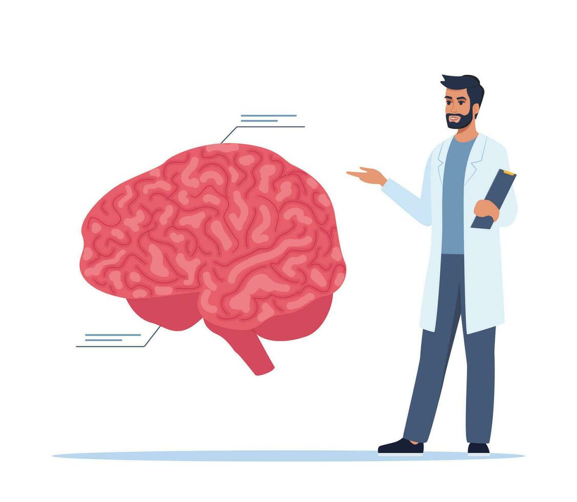 Doctor gives a training lecture about anatomy. Doctor presenting human brain infographics. Medical seminar, lecture, healthcare meeting concept. Vector illustration.