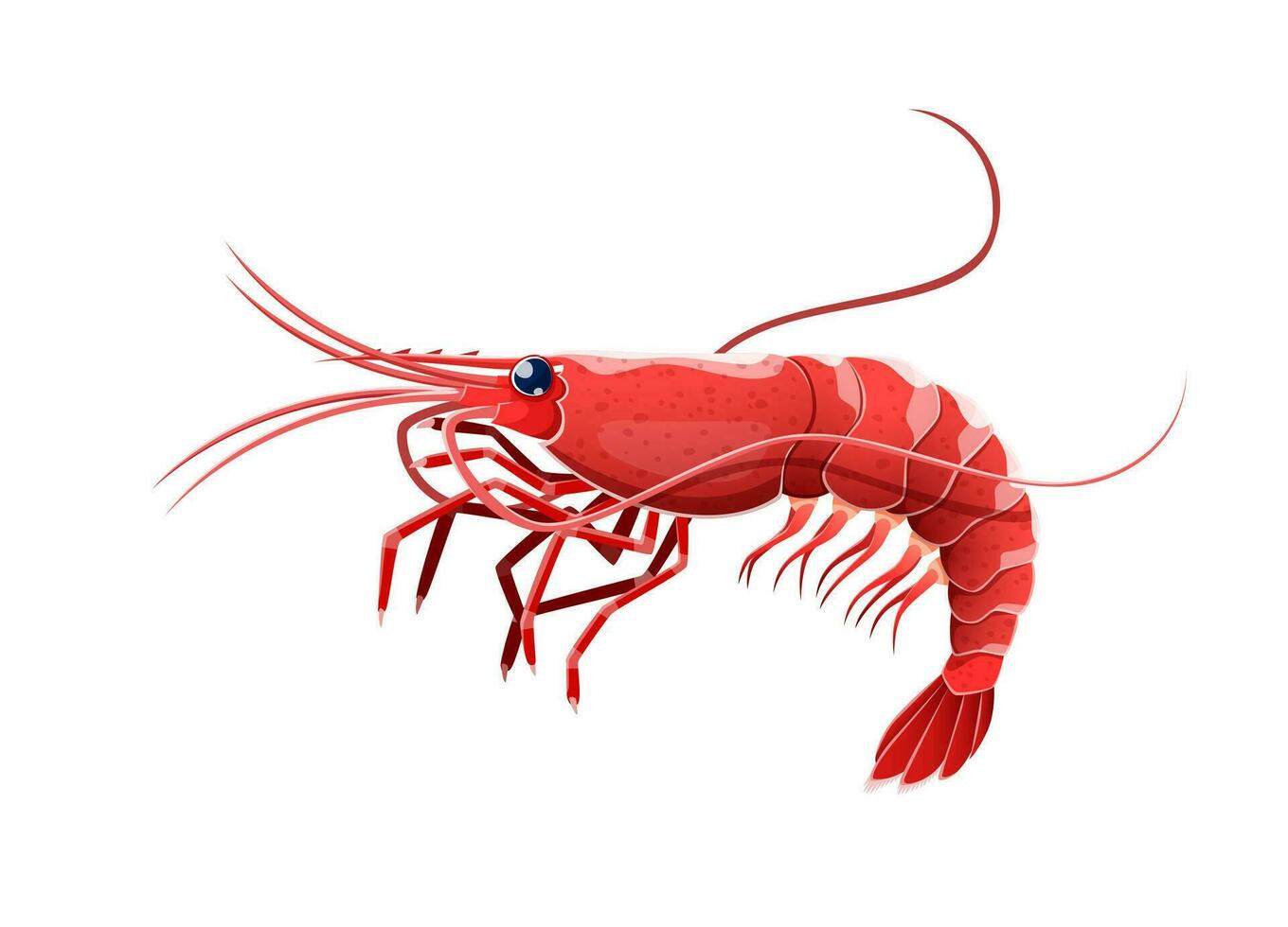Cartoon shrimp or prawn crustacean sea animal vector