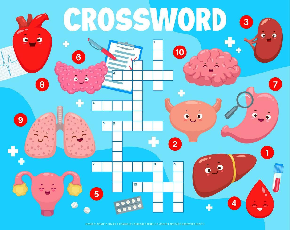 Crossword quiz game grid with cartoon body organs vector