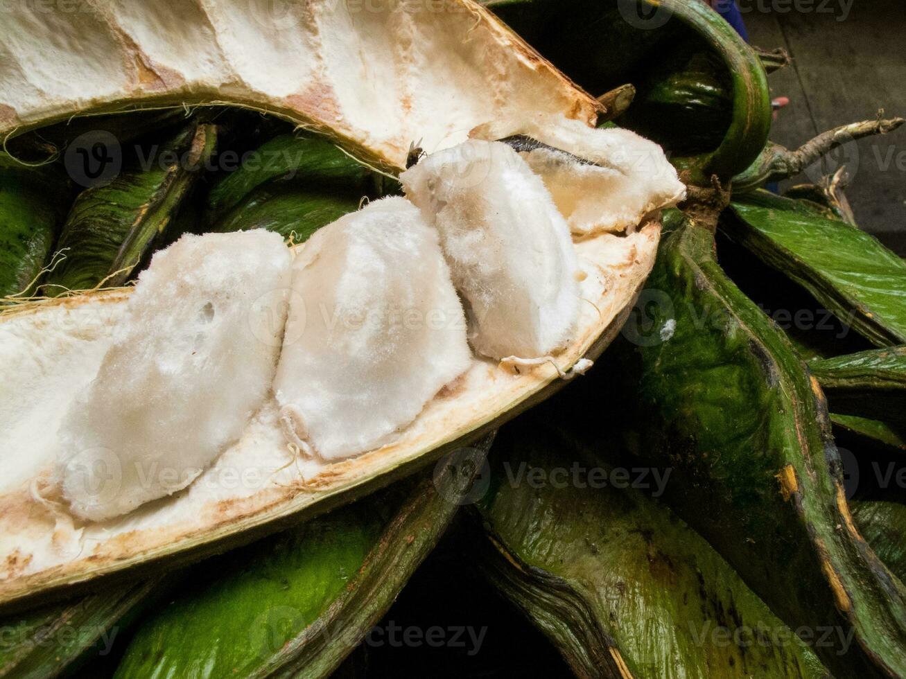 exótico tropical Fruta llamado guamá. inga edulis foto