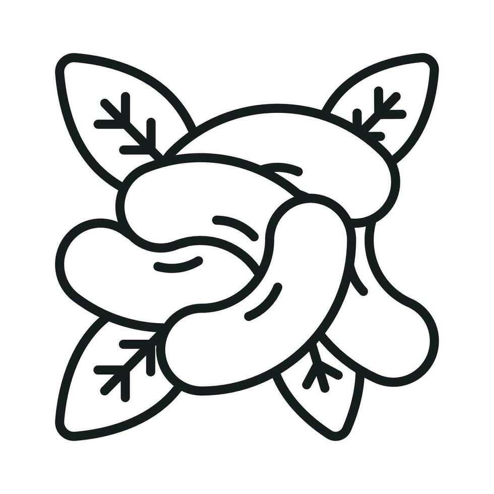 A captivating vector of cashew in modern style, ready to use premium icon