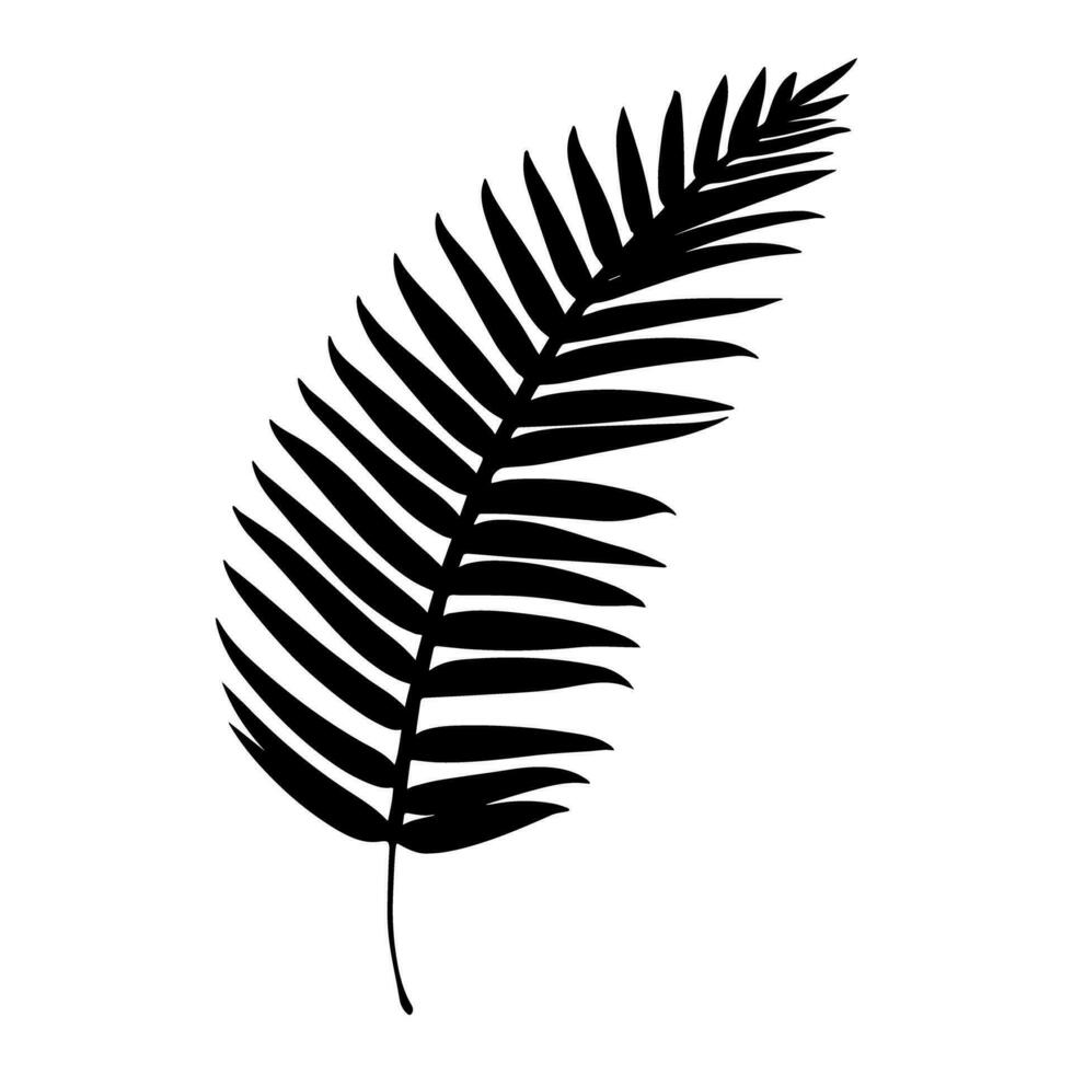 Palm tree leaf silhouette. Vector illustration