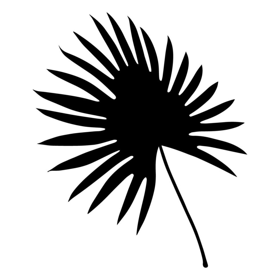 Tropical palm leaf silhouette. Vector illustration