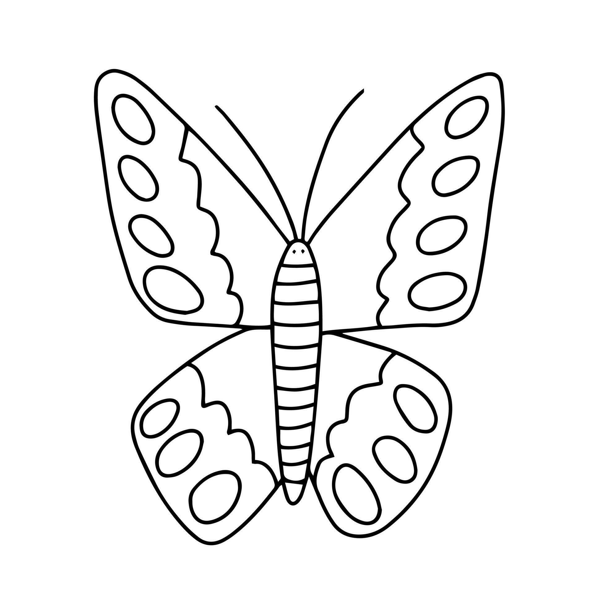 Vector cabbage butterfly coloring page. Hand drawn butterfly sketch on