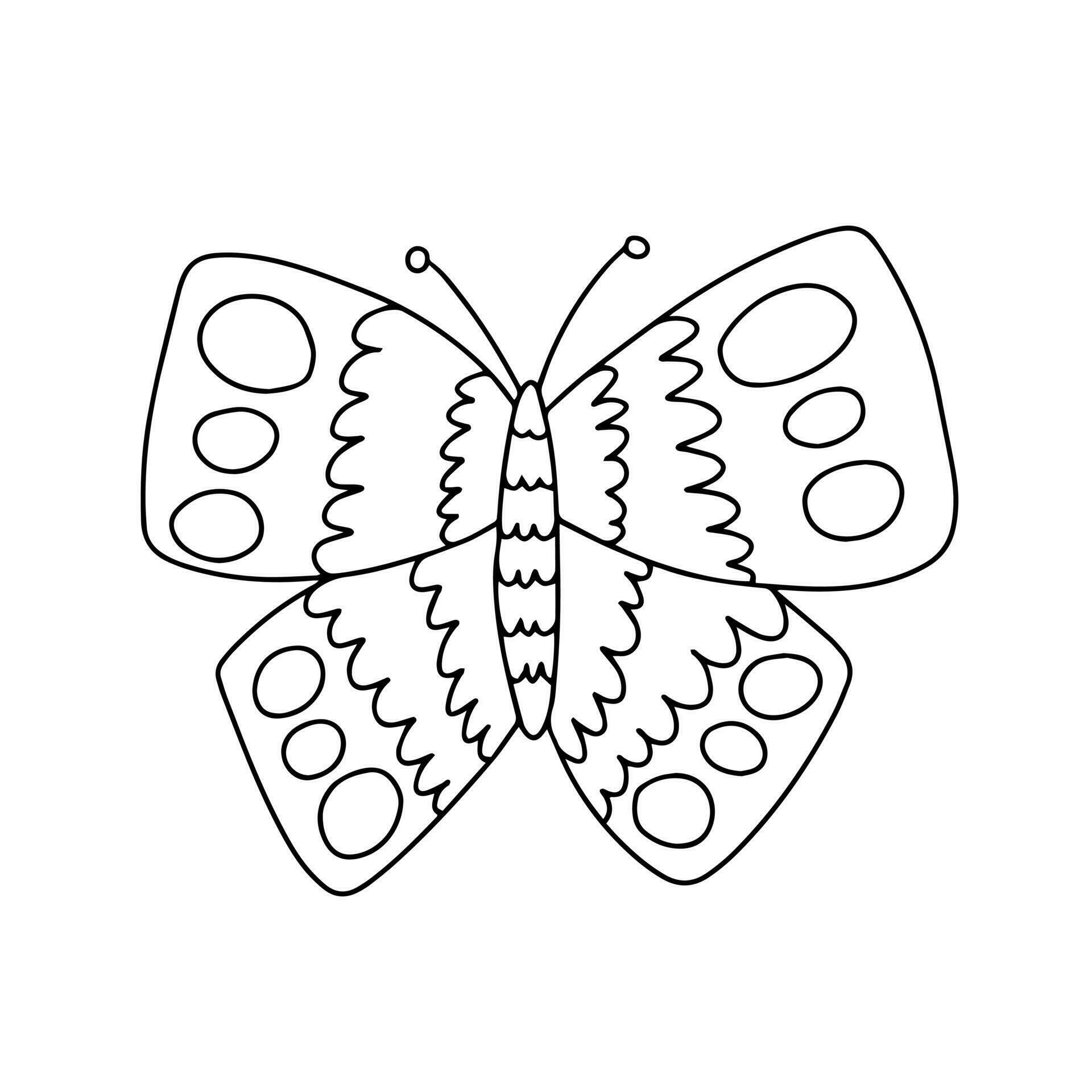Vector cabbage butterfly coloring page. Hand drawn butterfly sketch on
