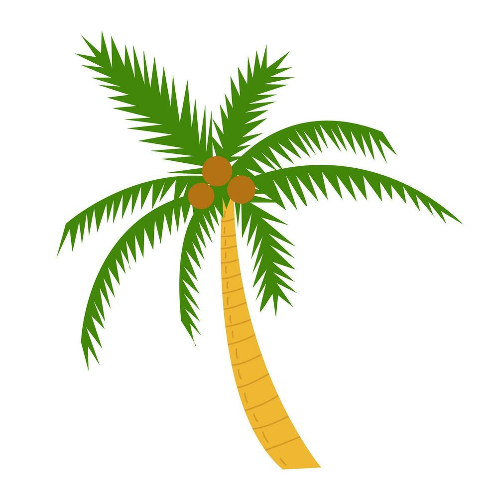 Vector flat style beach palm illustration.