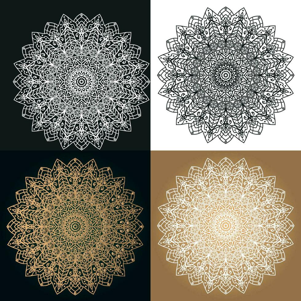 New Mandala Design And Template vector