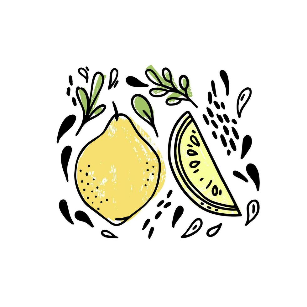 Vector set of hand drawn fruits with leaves and drops on a white background. Whole lemon fruit and its slice hand drawn icons. Naive drawings composition.