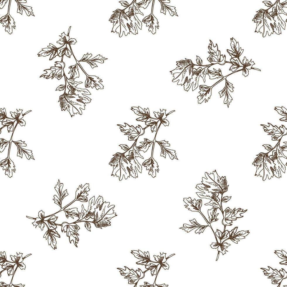 Hand-drawn vector seamless pattern of a bunch of parsley. Vintage doodle illustration. Sketch for cafe menus and labels. The engraved image.