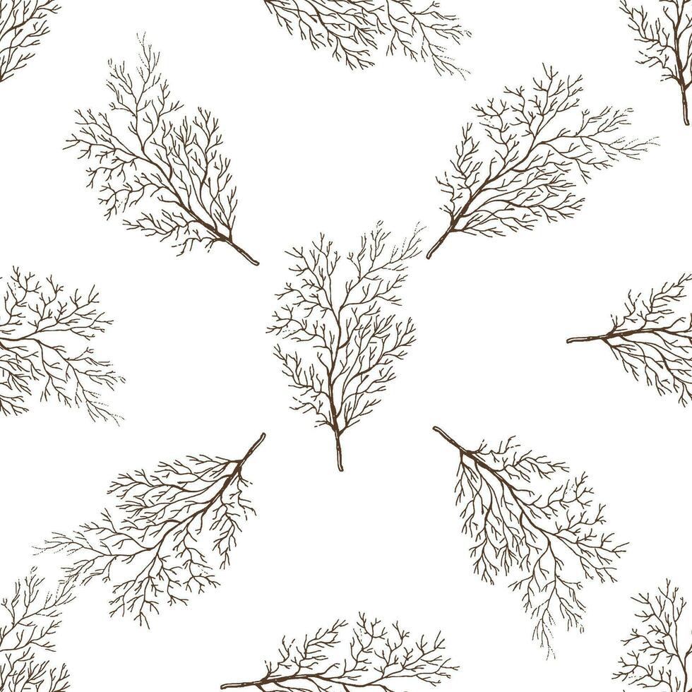 Hand-drawn vector seamless pattern of dill. Vintage doodle illustration. Sketch for cafe menus and labels. The engraved image.