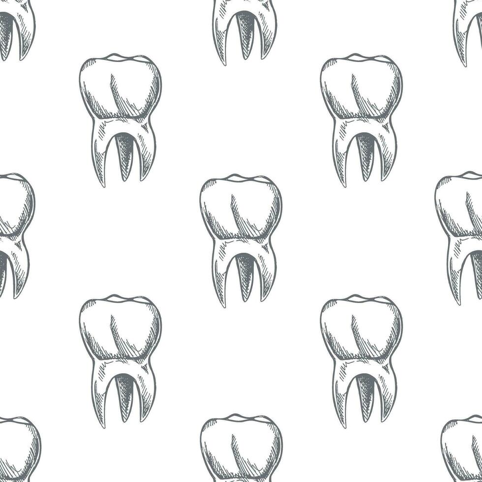 tooth sketch