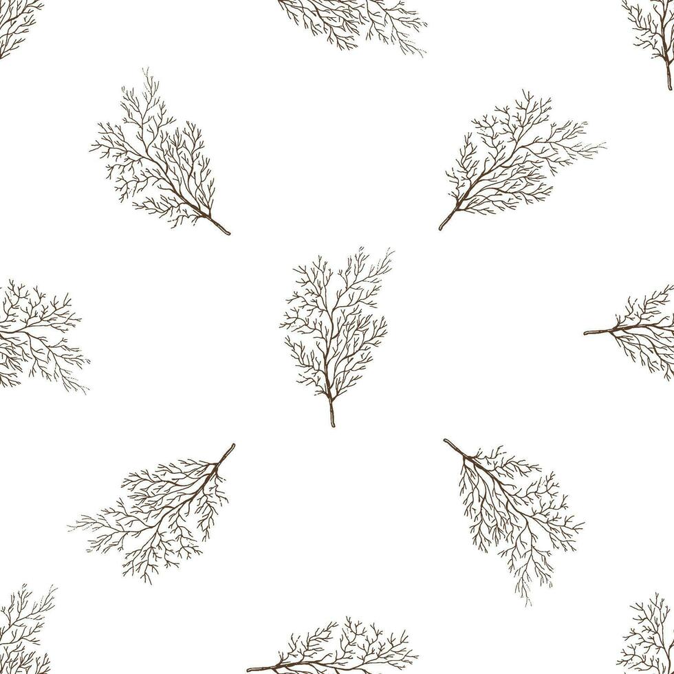 Hand-drawn vector seamless pattern of dill. Vintage doodle illustration. Sketch for cafe menus and labels. The engraved image.
