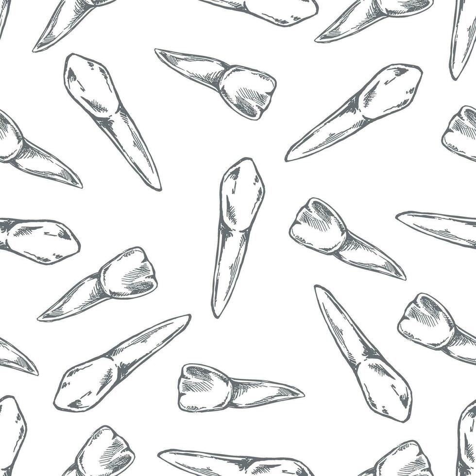 Hand-drawn vector seamless pattern of teeth. Teeth sketch. Different types of human tooth. Dental care.