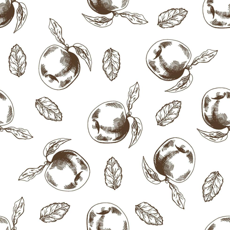 Hand-drawn vector seamless pattern of apples. Vintage doodle illustration. Sketch for cafe menus and labels. The engraved image.